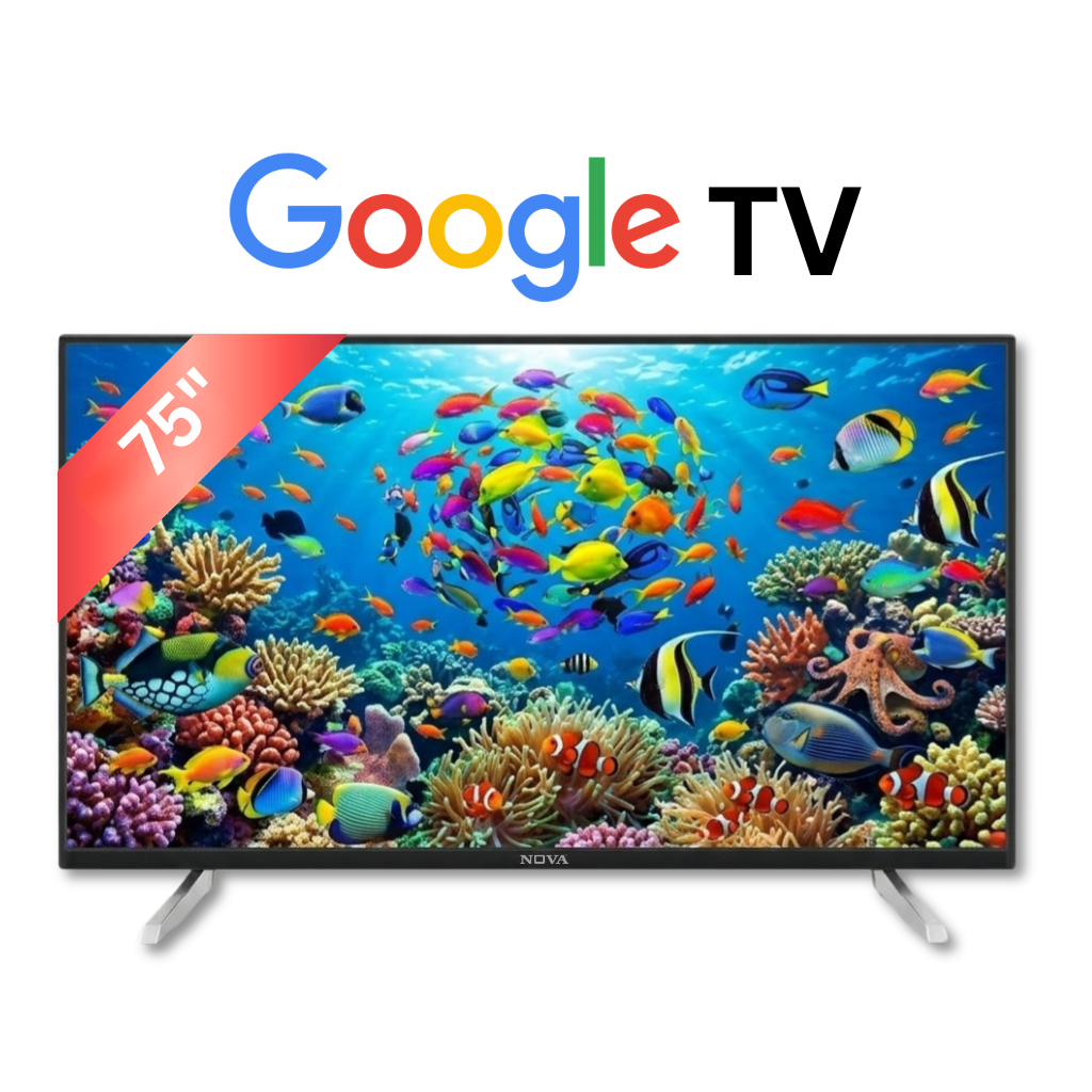 Google TV